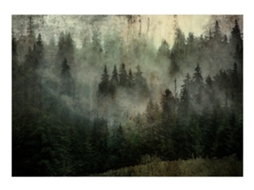 Papel de Parede ARTGEIST Misty Beauty of the Forest (392x280)