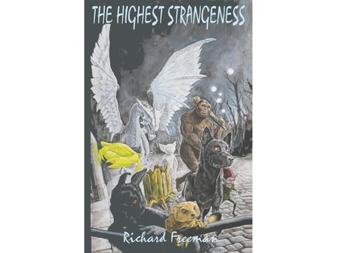 Livro The Highest Strangeness de Richard Freeman (Inglês)