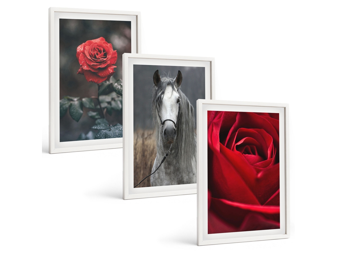 Conjunto De Pinturas Rosas Vermelhas, Cavalo, Mundo Cinza Moldura Branca Pinturas De Quarto Espelharte (3 Piezas De 40x60 Cm)