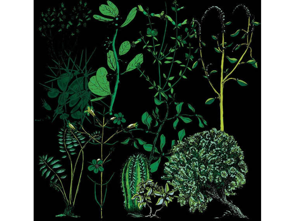 Vinil Campdogzz - In Roses (1CDs)