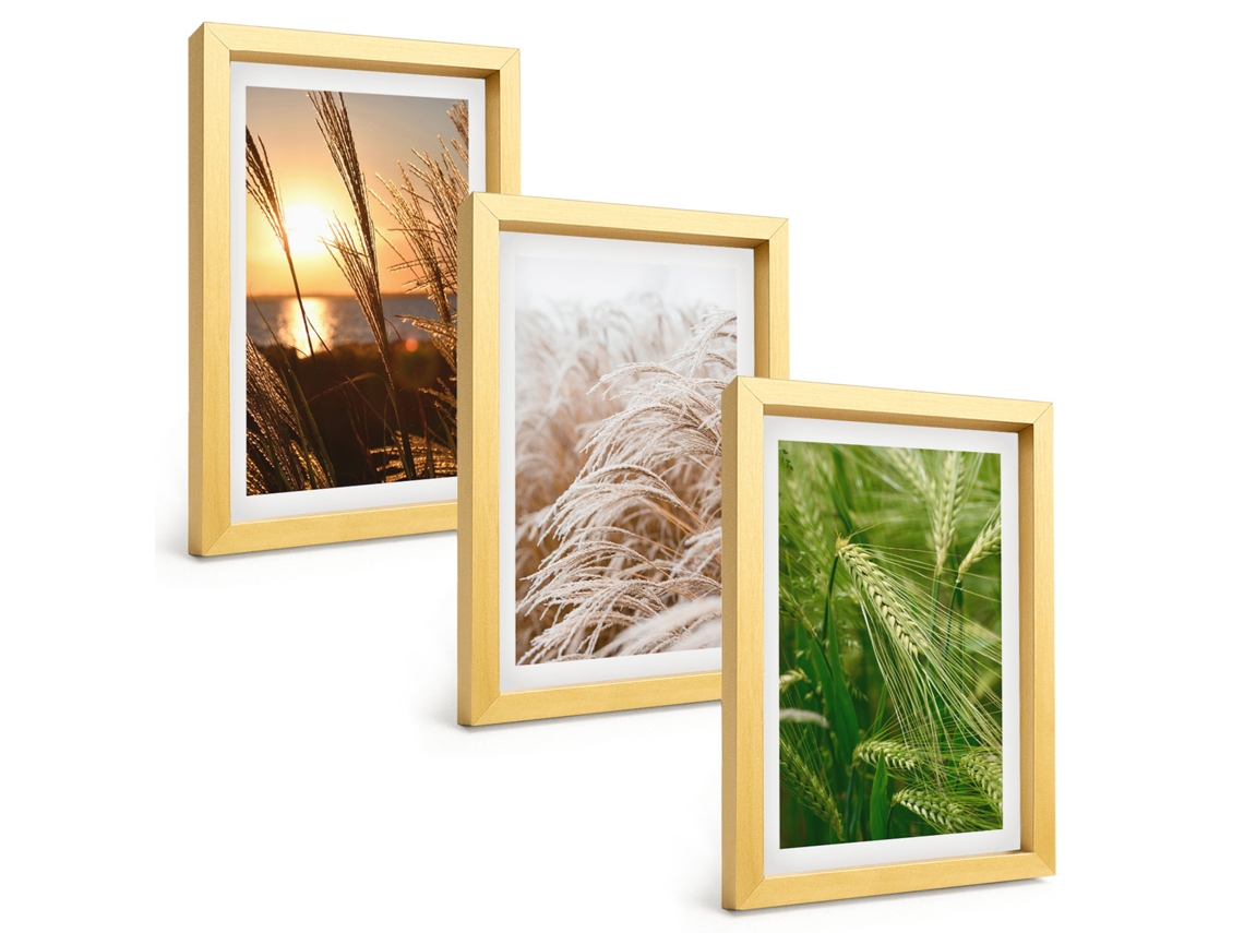 Conjunto De Pinturasgrama, Natureza Colorida Moldura Dourada Quadros Para A Sala De Estar Espelharte (3 Peças 20x30 Cm)