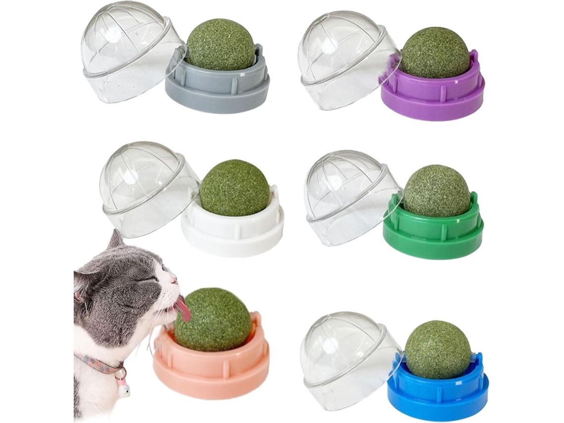 Conjunto 6 Bolas Catnip Dentais