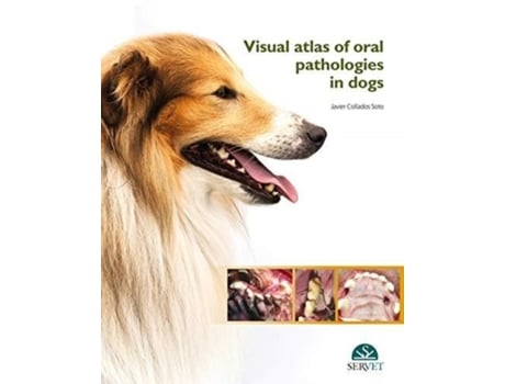 Livro visual atlas of oral pathologies in dogs de javier collados soto (inglês)