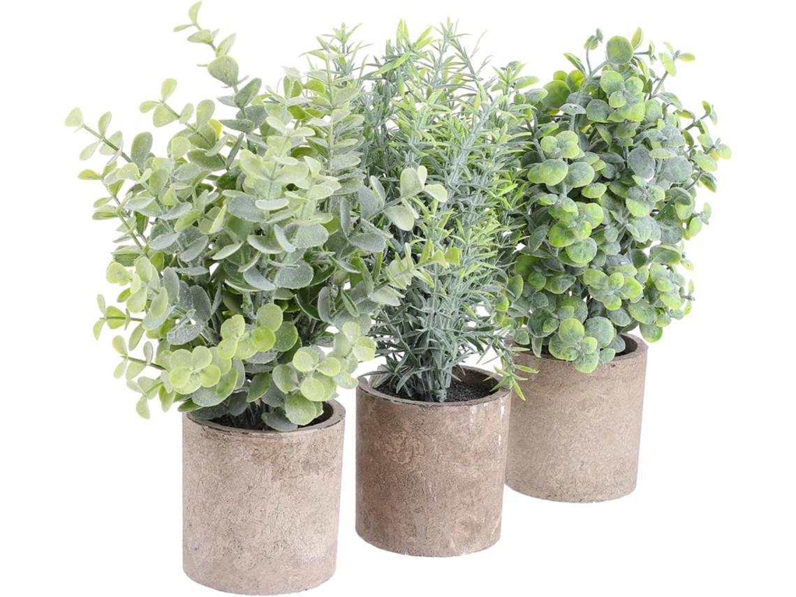 Conjunto De 3 Vasos De Eucalipto Para Decoração De Casa E Escritório.