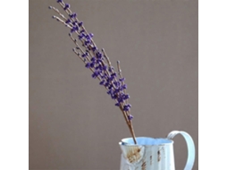 Artificiais como flores falsas, Mesa De Rato, Varanda, Rative Slowmoose