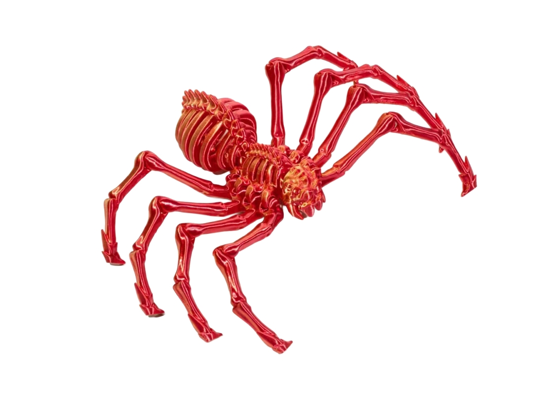 Laxiscreed - Kit De Aranhas 3d Para Montar, Brinquedos Flexíveis E Decoração De Halloween