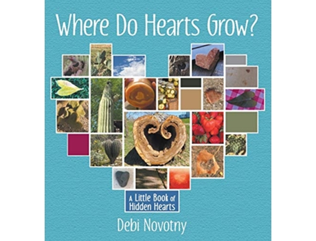 Livro Where Do Hearts Grow A Little Book of Hidden Hearts de Debi Novotny (Inglês)