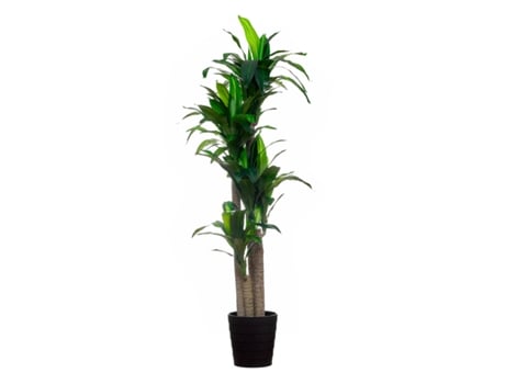Planta Dracaena Artificial 155cm Imporcelos