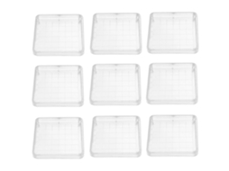 Placas De Petri Quadradas De 10x10 Cm, 10 Unidades, Com Tampas Herméticas Para Botânica.
