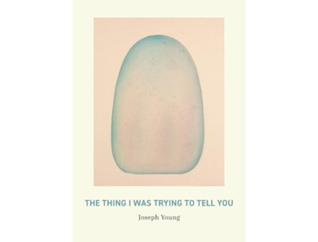 Livro The Thing I Was Trying to Tell You de Joseph Young (Inglês)