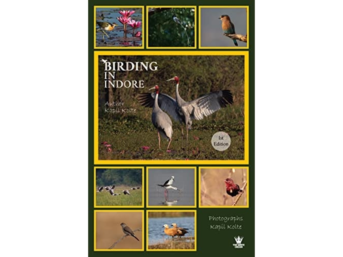 Livro Birding In Indore de Kolte e Kapil (Hindi)