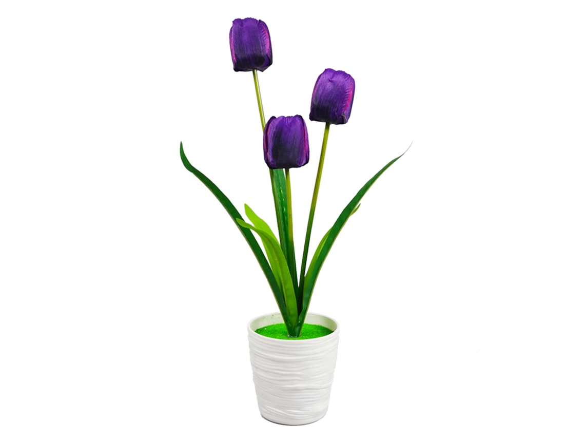 Arranjo Floral de Tulipas de Três Cabeças LAXISCREED