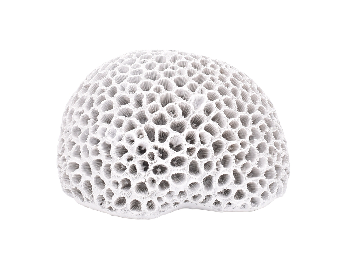 Figura de Coral