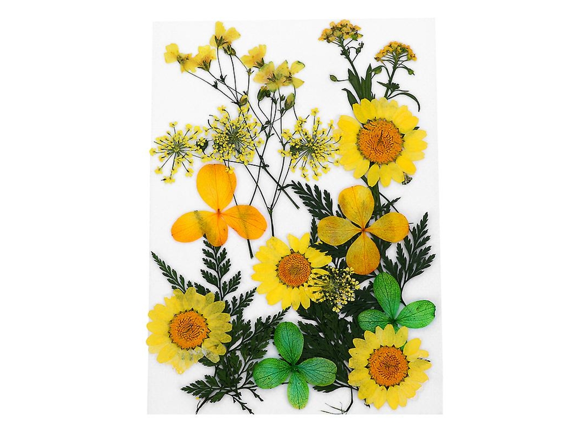 1 Conjunto De Flores Prensadas Allinless