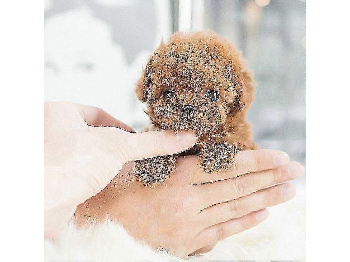 2026 cachorro Robô Interativo Realista para Meninas e Crianças Presente Bonito Brinquedo Marrom