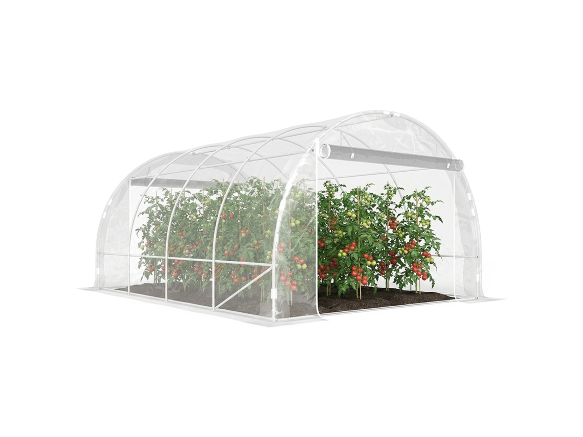 Estufa Túnel Polytunnel BTFORUS estrutura de aço galvanizado cobertura resistente UV transparente