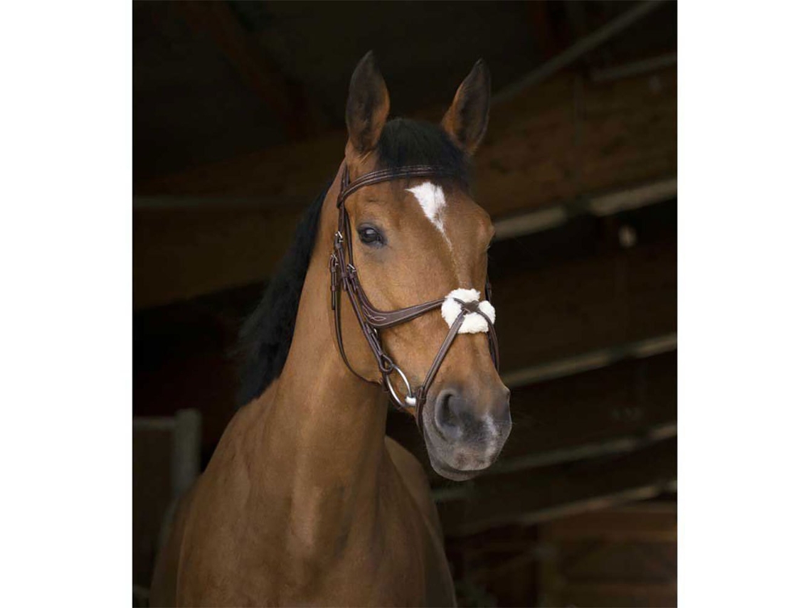 Cabresto com Focinheira Crossed Castanho Cobnorton Equestrian