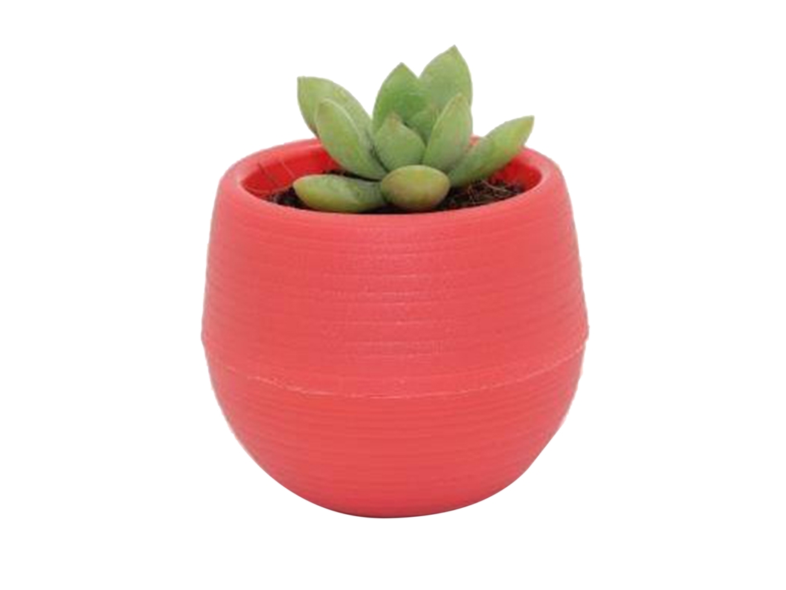 Vasinho De Plástico Para Suculentas E Mudas Jardim Varanda Vinho Tinto