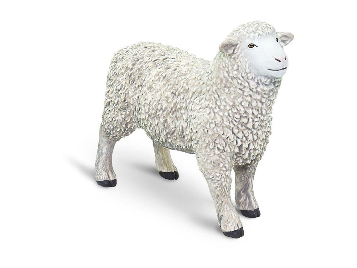 SAFARI Sheep
