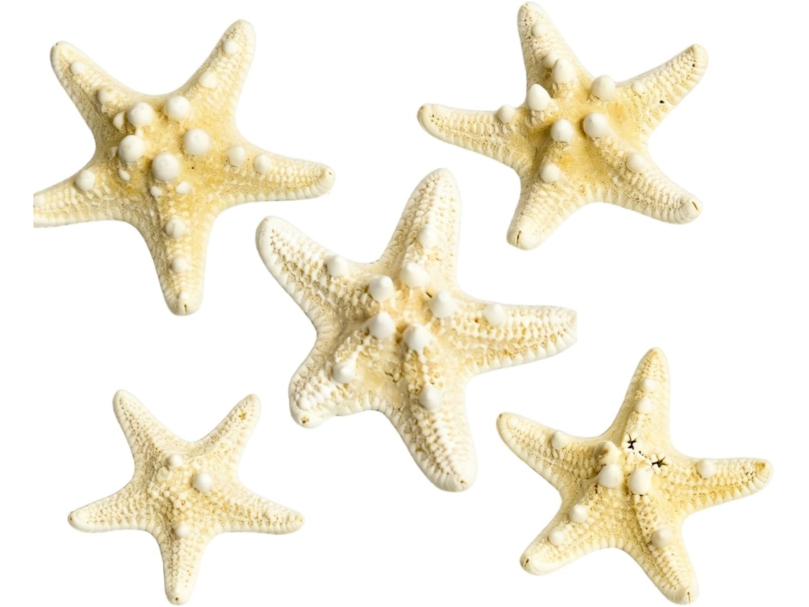 Lote De 5 Étoiles De Mer Decorativos Em Vrac De 5 A 7,5 Cm Em Forma De Étoile De Mer Para Trabalhos Manuais,