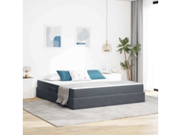 Vidaxl Cama com Arrumação e Colchão Cinza Escuro 180 X 200 Cm Veludo
