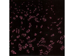 Vinil The Red Crayola With Art & Language - Black Snake Moan / Matchbox Blues (1CDs)