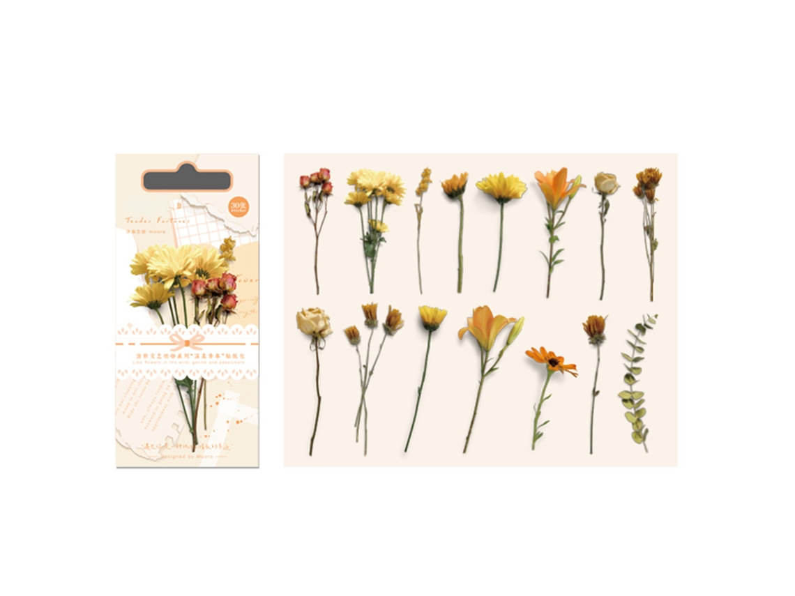 30 Adesivos Vintage de Plantas Flores Folhas para Scrapbooking Journal Planners Laptops