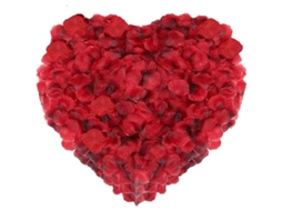 Pétalas de Rosa Vermelha Artificial Nova LINE, Seda, 1kg, 4000 peças, Decoração Romântica, Casamento, Festa