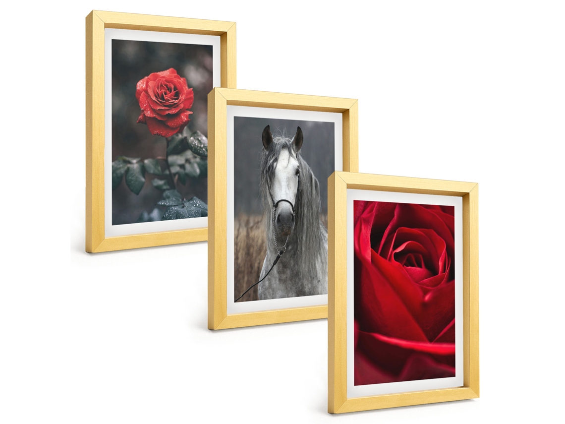 Galeria De Pinturas Muraisrosas Vermelhas, Cavalo, Mundo Cinza Moldura Dourada Fotos Para O Escritório Espelharte (3 Peças 20x30 Cm)