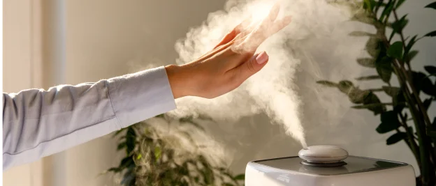 Humidificador e Desumidificador?
