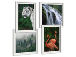 Composição De Quadros Natureza Animais Selvagens Paisagens Espelharte (4 Peças)