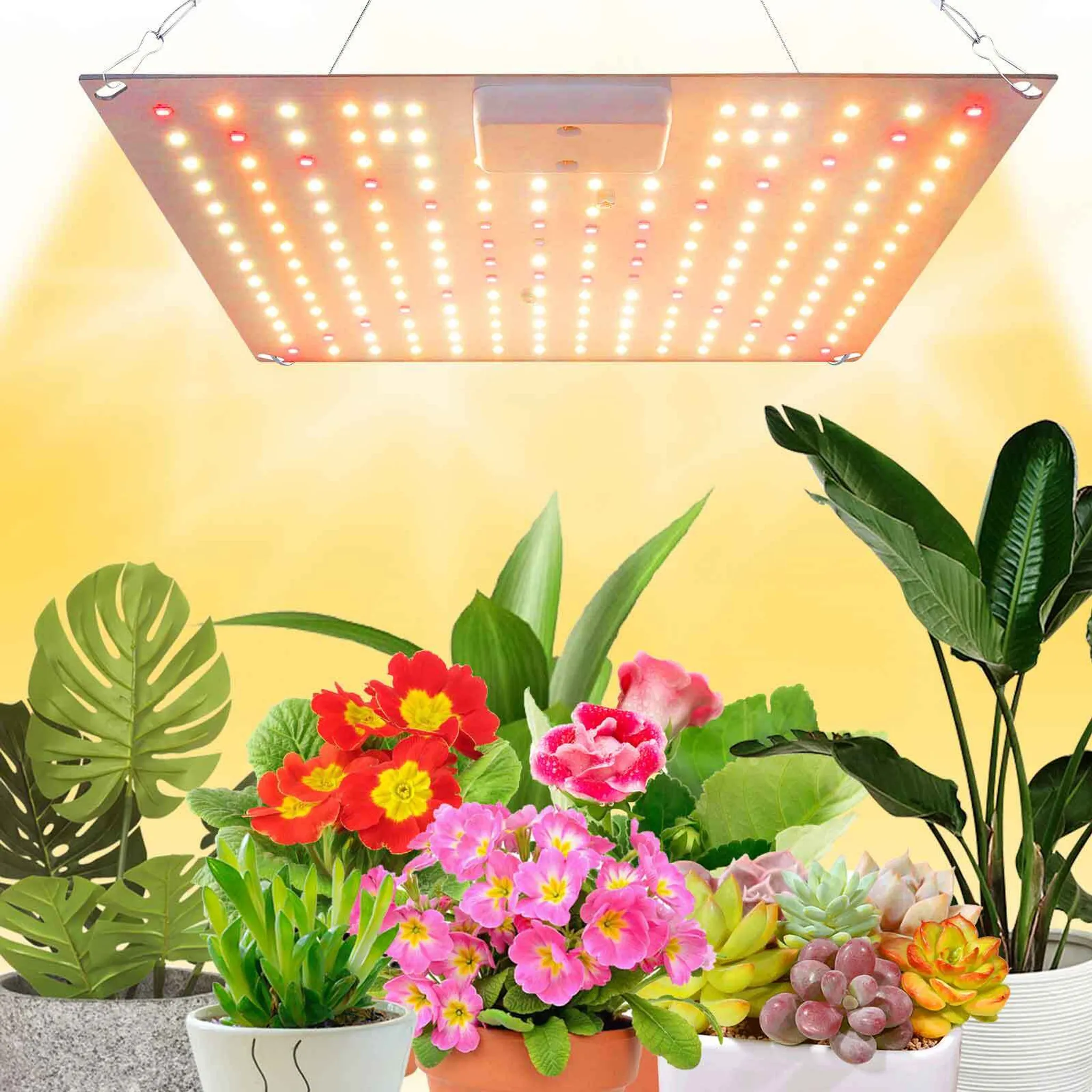 Painel de Quantum Led Grande STELASPLEN