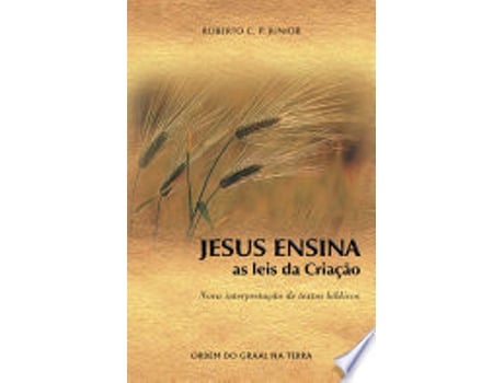 Livro JESUS ENSINA AS LEIS DA CRIAÇAO - NOVA INTERPRETAÇÃO DE TEXTOS BIBLICOS de PUCCINELLI JUNIOR, ROBERTO CARNEIRO (Português do Brasil)