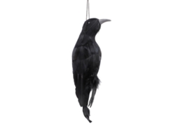 Laxiscreed Cortina Decorativa Com Caveira Em Renda Para Halloween