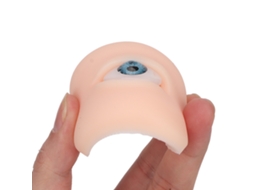 Modelo De Olho De Silicone (olho Azul Flexível 5d, Macio E Amigável À Pele) Eoocoo