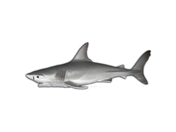Tubarão Branco MAIA BORGES 15 cm