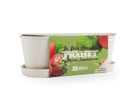 Jogo de Tabuleiro RADIS ET CAPUCINE Strawberries In A Bamboo Window Box (4 Anos)
