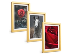 Galeria De Pinturas Muraisrosas Vermelhas, Cavalo, Mundo Cinza Moldura Dourada Fotos Para O Escritório Espelharte (3 Peças 20x30 Cm)