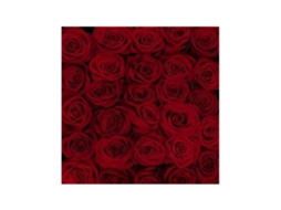 Rosas Variadas | Flor Natural | Ramo De 25 Tallos | 60cm De Alto Rojas Freedom