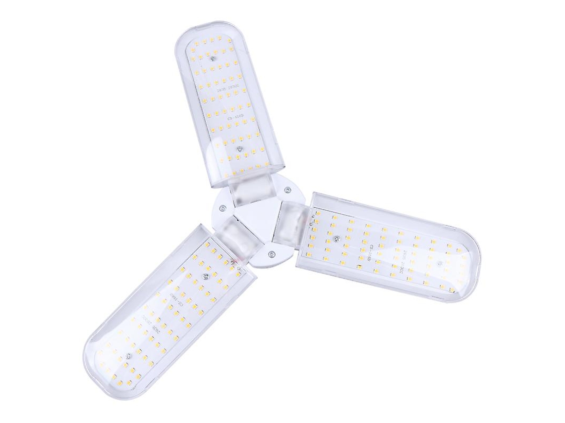 1pcs Luz Suculenta