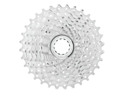 Campagnolo Potenza 11s