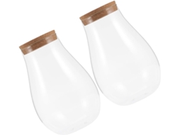 Inoomp Micro Landscape Plant Bottle Kit de 2 Peças com Tampa de Madeira Recipiente de Vidro para Plantas Domésticas CHABERLU