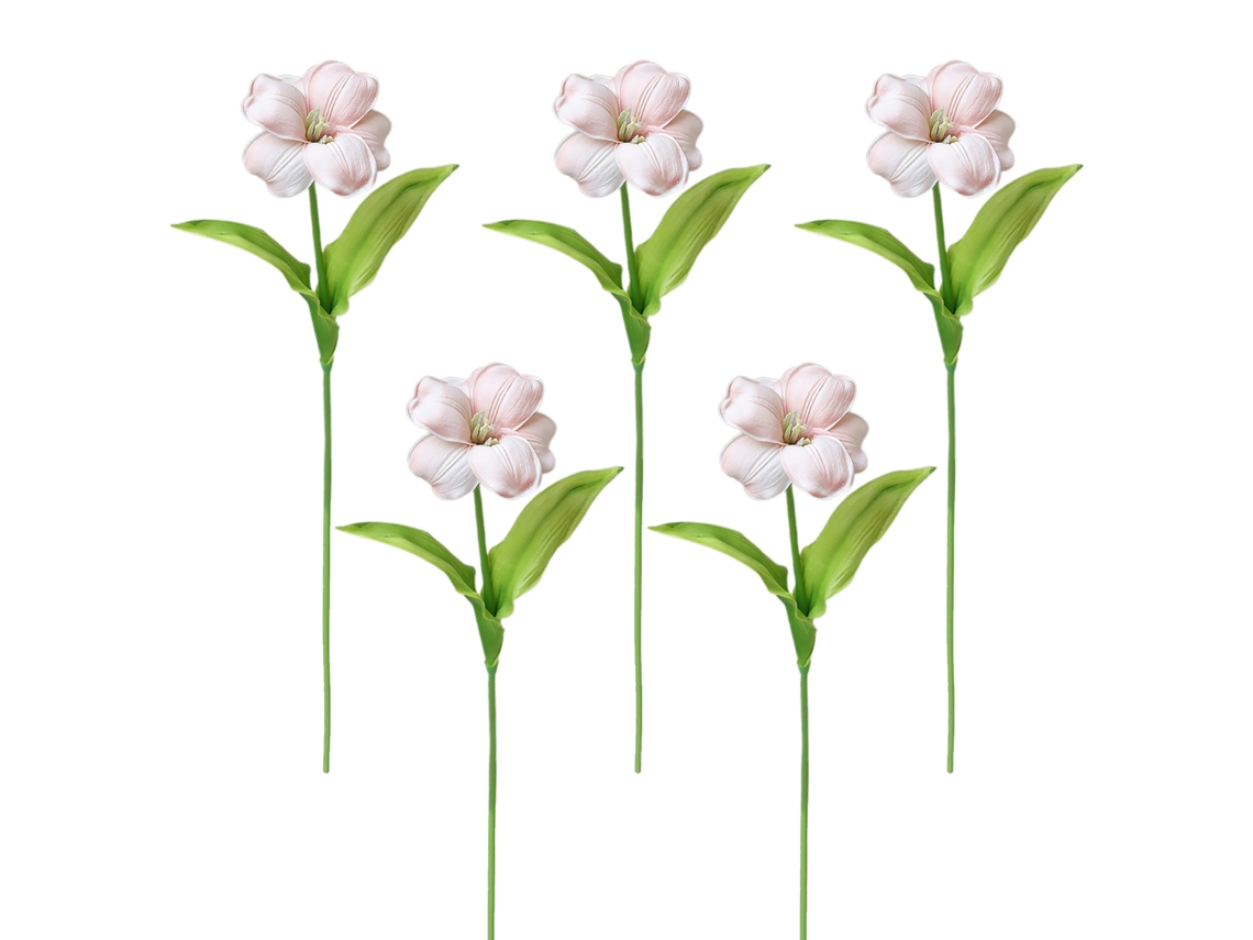 Bouquet de 5 rabos de tesoura curvos para embalagem e envio em champagne claro LAXISCREED