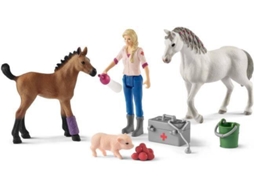 Figura SCHLEICH Veterinário (Conjunto)