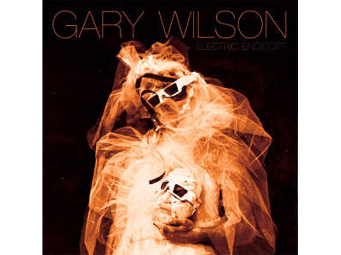 CD Gary Wilson - Electric Endicott