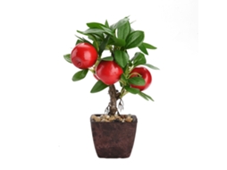 Laxiscreed Planta Em Vaso De 23cm Para Decoração De Interior Elegante