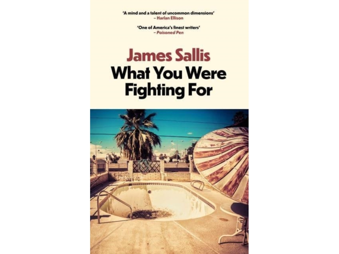 Livro What You Were Fighting For .