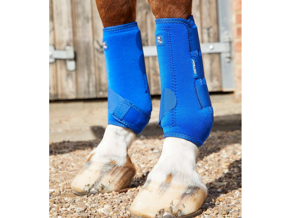 Botas para Equitação PREMIER EQUINE (Unissexo - Azul - L)