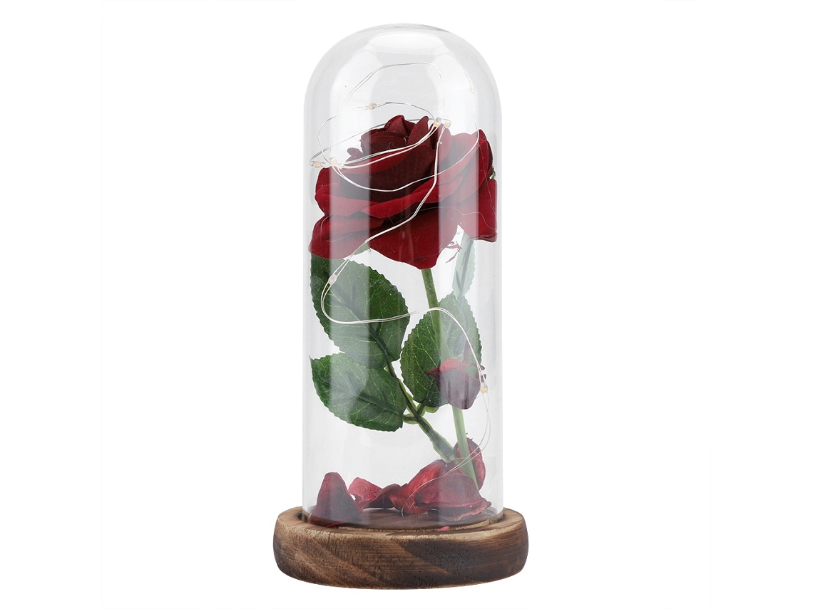 Flor Preservada Luz Led Vidro Base Madeira Worten