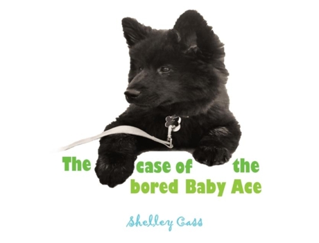 Livro The Case Of The Bored Baby Ace Book Two In The Sleep Sweet Series De Shelley Cass (inglês)